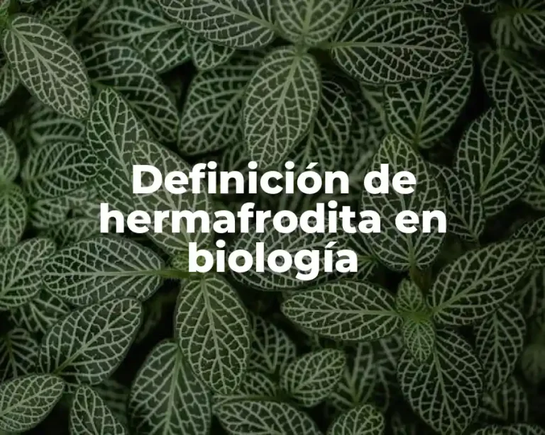 Definición de hermafrodita en biología