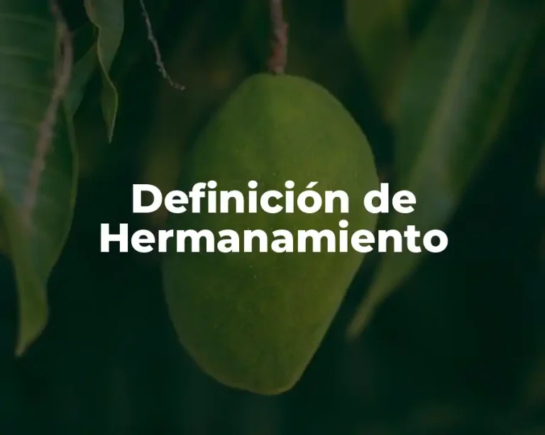 Definición de Hermanamiento