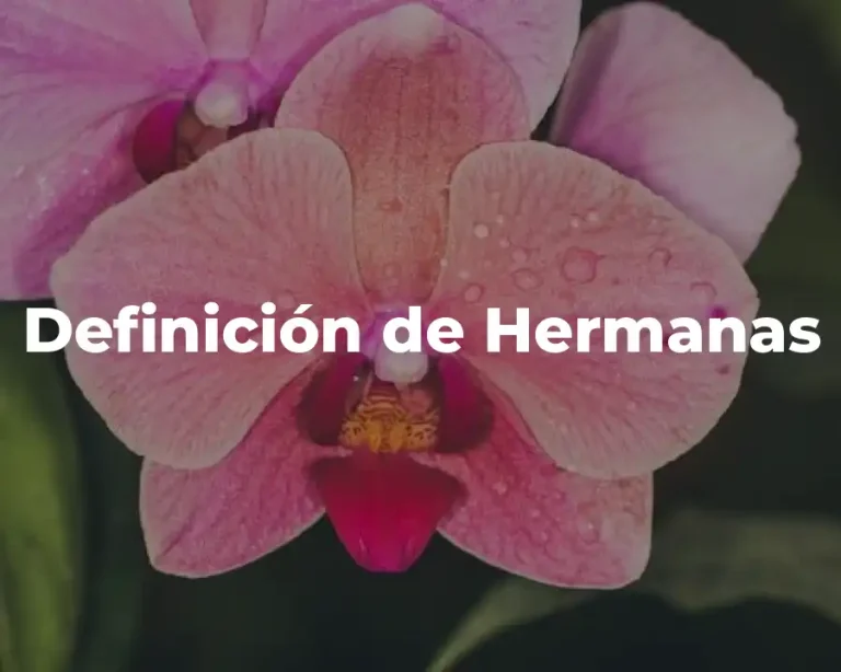 Definición de Hermanas