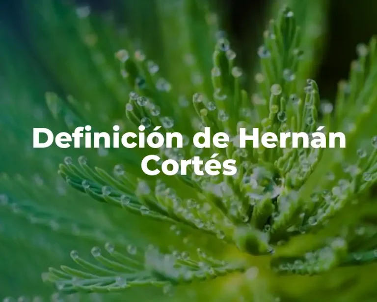 Definición de Hernán Cortés