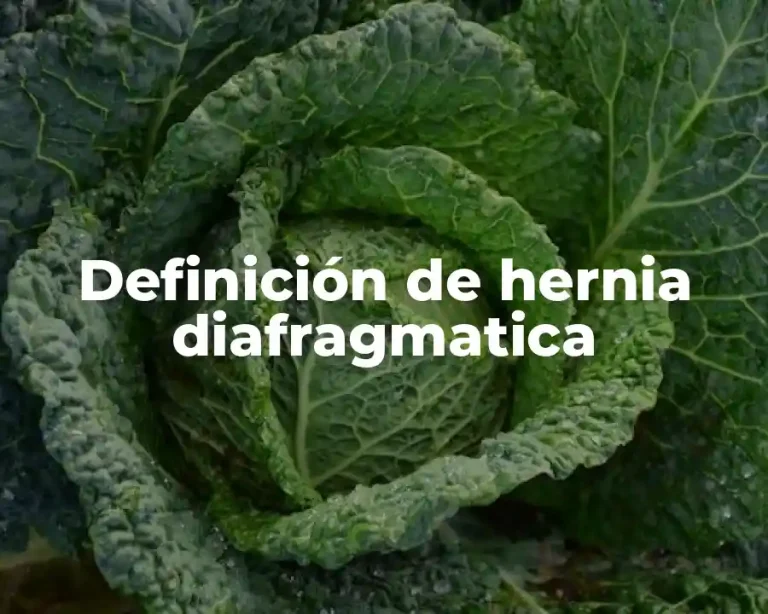 Definición de hernia diafragmatica