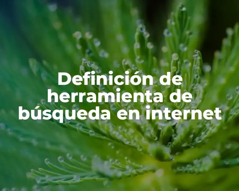 Definición de herramienta de búsqueda en internet