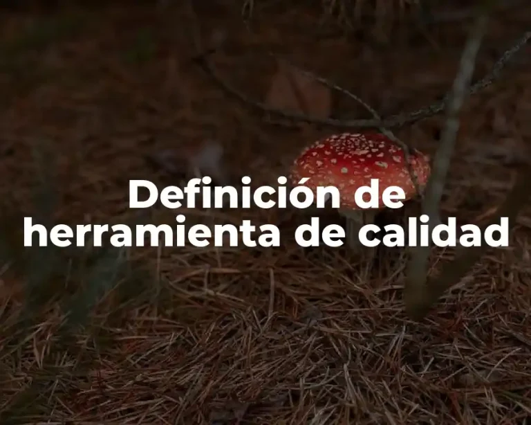 Definición de herramienta de calidad