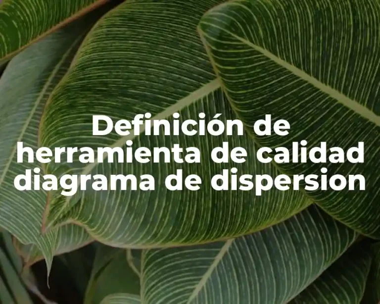 Definición de herramienta de calidad diagrama de dispersion