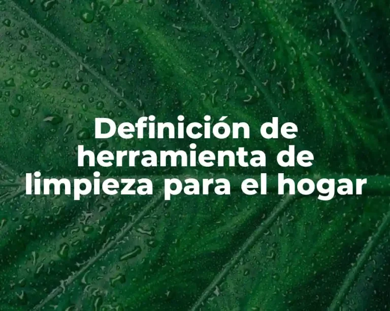 Definición de herramienta de limpieza para el hogar