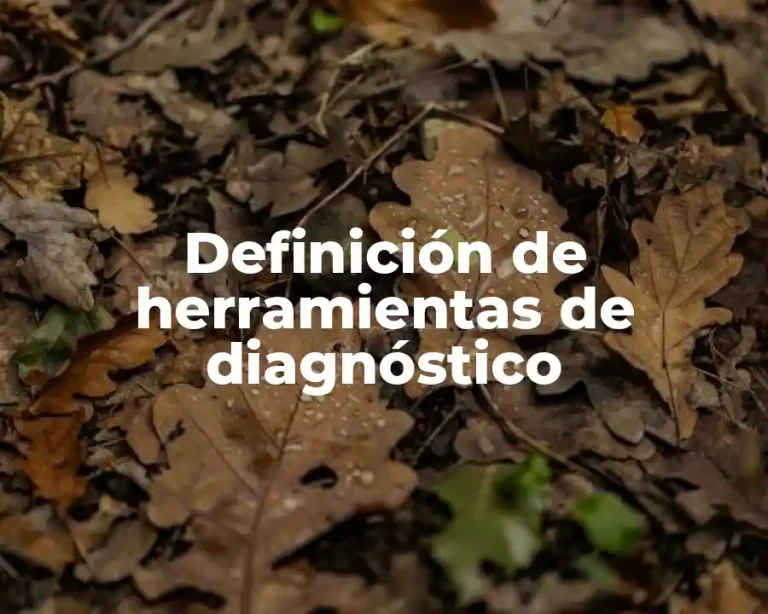 Definición de herramientas de diagnóstico