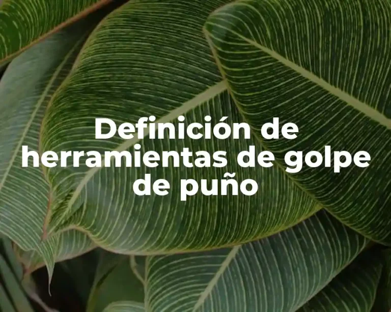 Definición de herramientas de golpe de puño