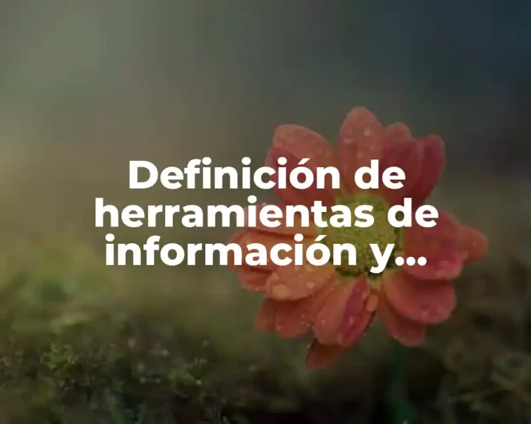 Definición de herramientas de información y comunicación