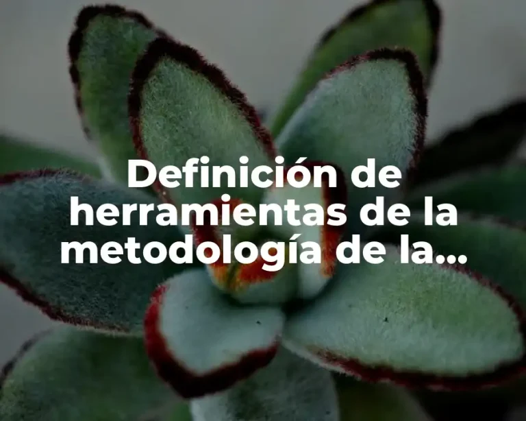 Definición de herramientas de la metodología de la investigación