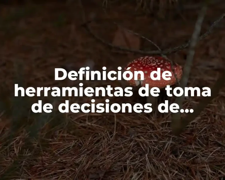 Definición de herramientas de toma de decisiones de Ishikawa
