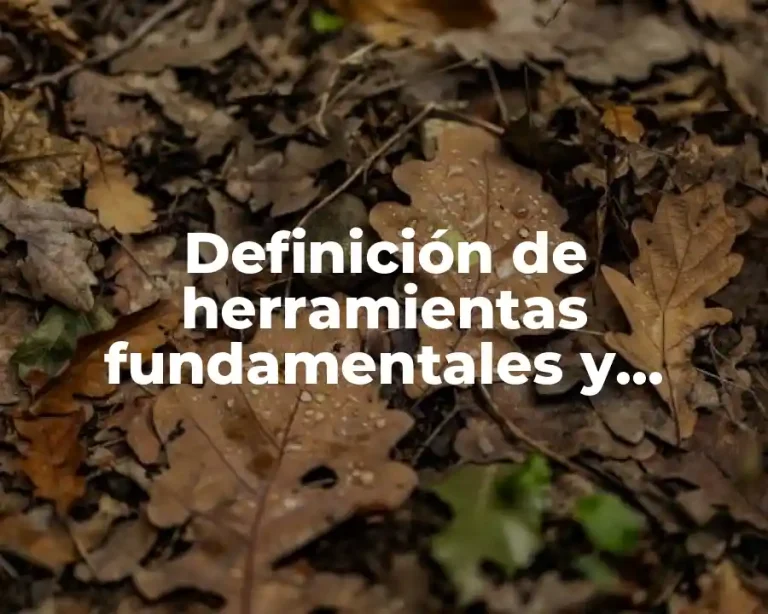 Definición de herramientas fundamentales y apoyos requiridos en secundaria