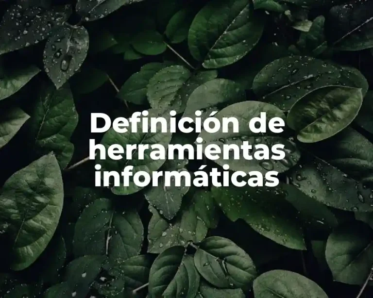Definición de herramientas informáticas