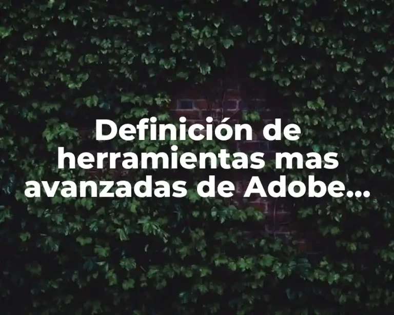 Definición de herramientas mas avanzadas de Adobe Flash Professional