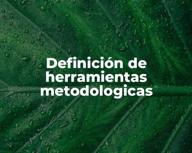 Definición de herramientas metodologicas