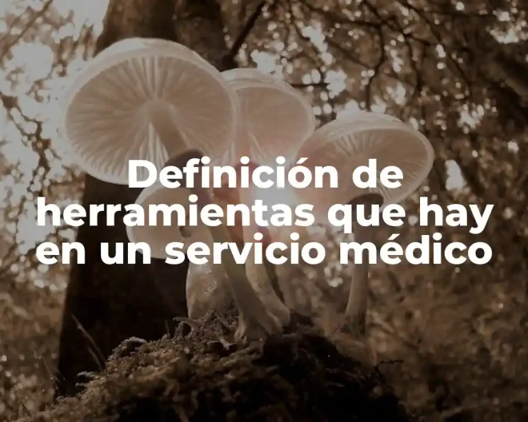 Definición de herramientas que hay en un servicio médico