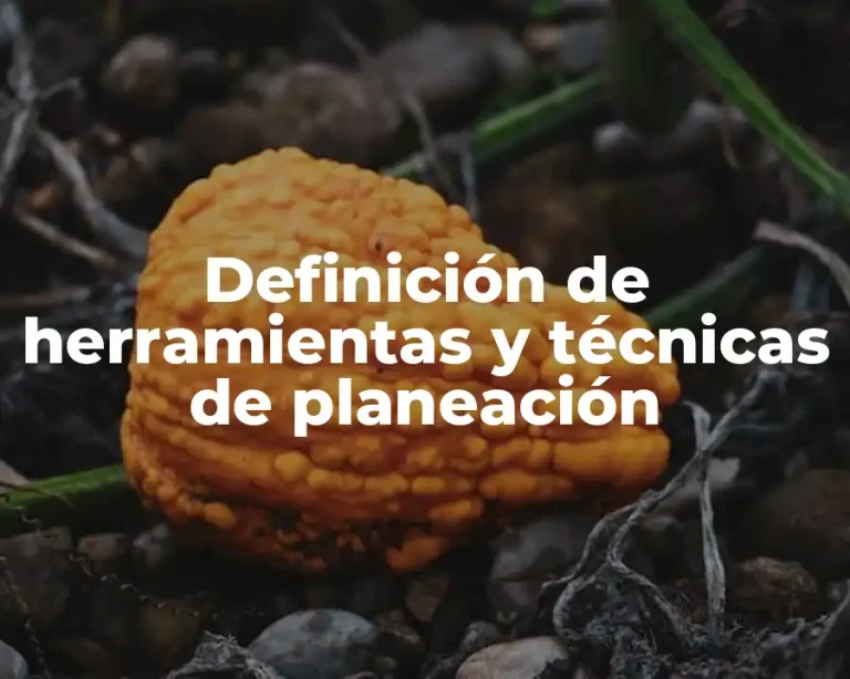 Definición de herramientas y técnicas de planeación
