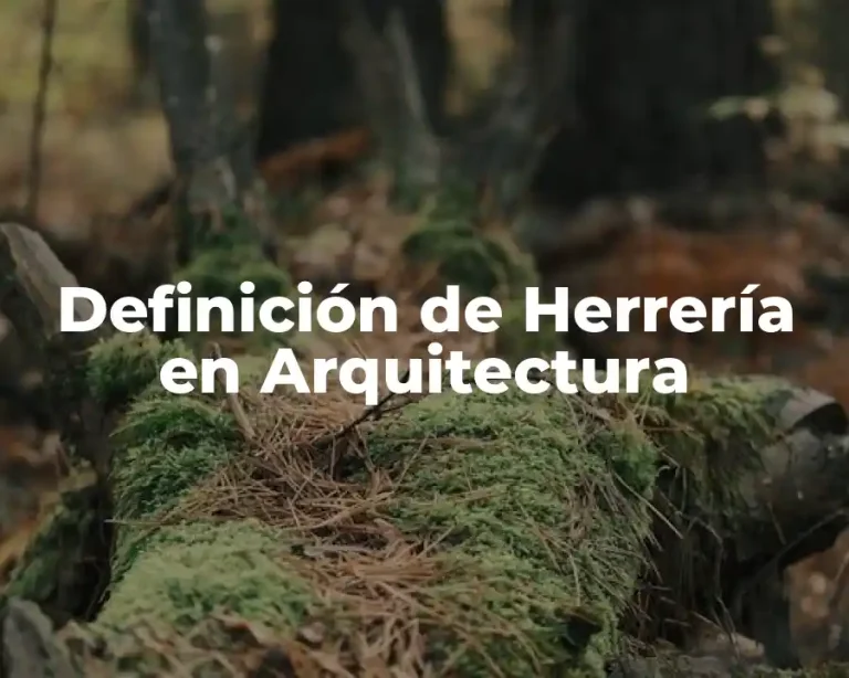 Definición de Herrería en Arquitectura