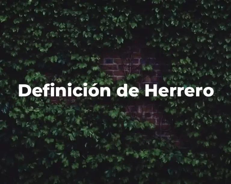 Definición de Herrero