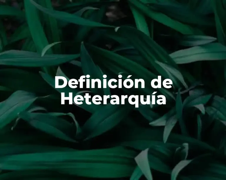 Definición de Heterarquía