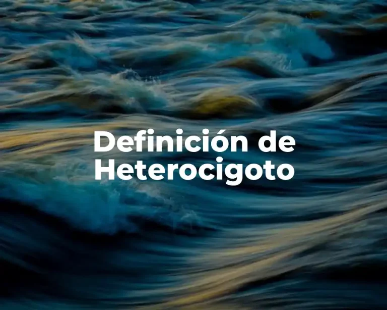 Definición de Heterocigoto