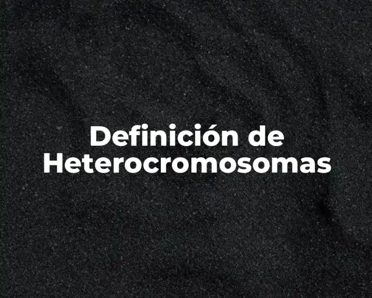 Definición de Heterocromosomas