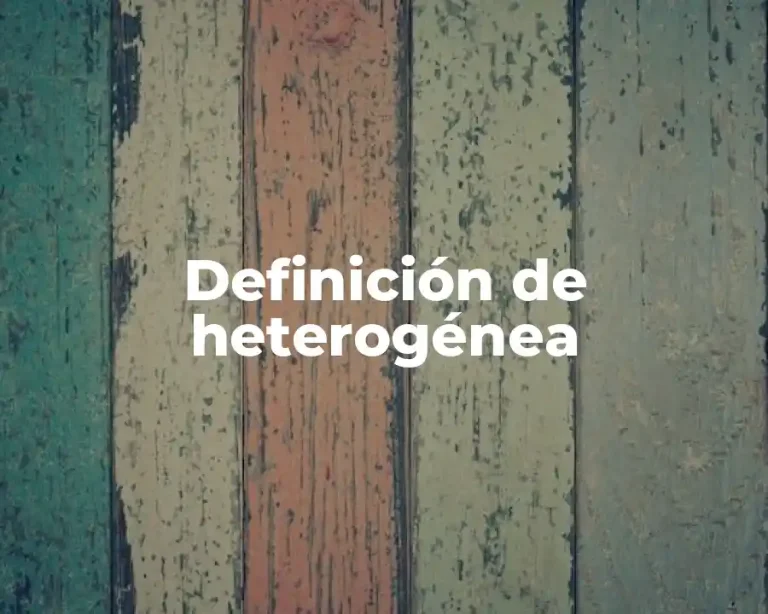 Definición de heterogénea