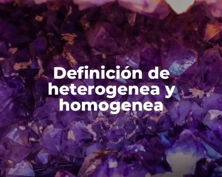 Definición de heterogenea y homogenea