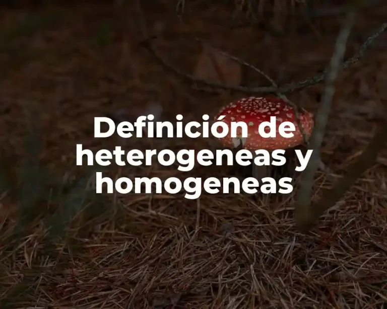 Definición de heterogeneas y homogeneas