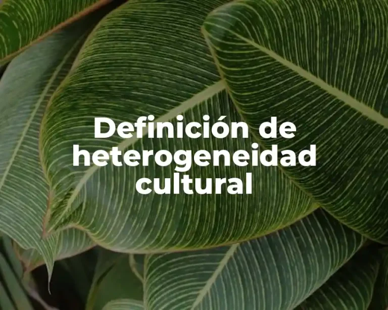 Definición de heterogeneidad cultural