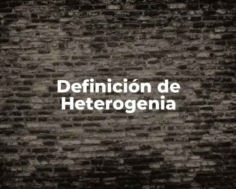 Definición de Heterogenia