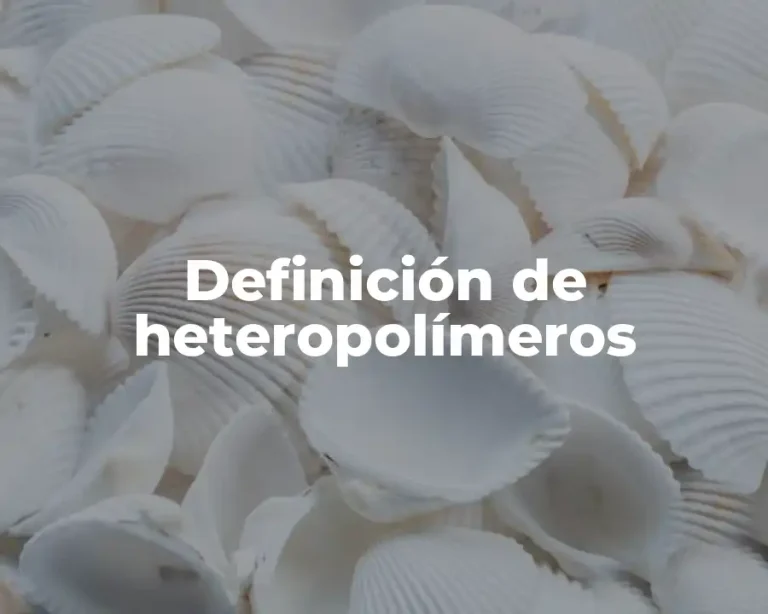 Definición de heteropolímeros