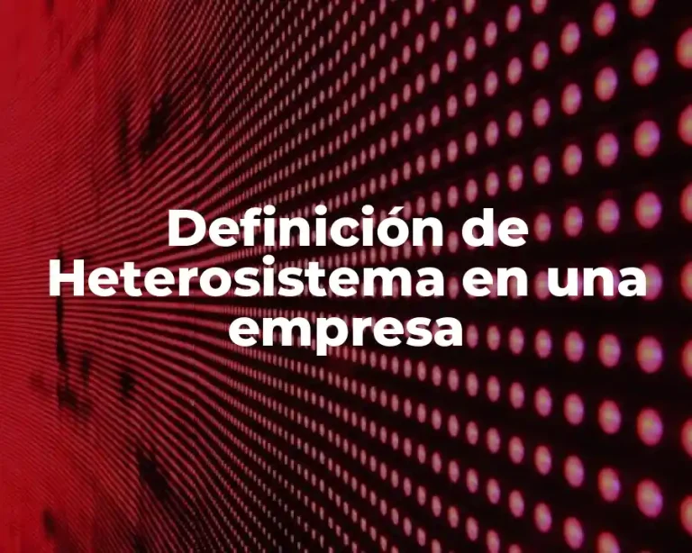 Definición de Heterosistema en una empresa