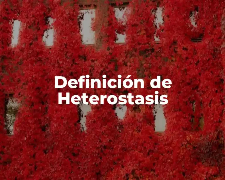 Definición de Heterostasis