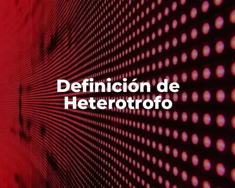 Definición de Heterotrofo