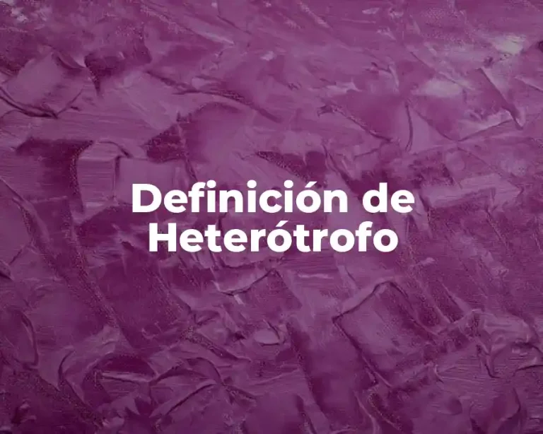 Definición de Heterótrofo