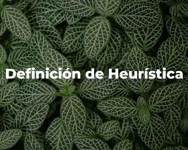 Definición de Heurística