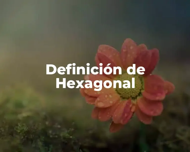 Definición de Hexagonal