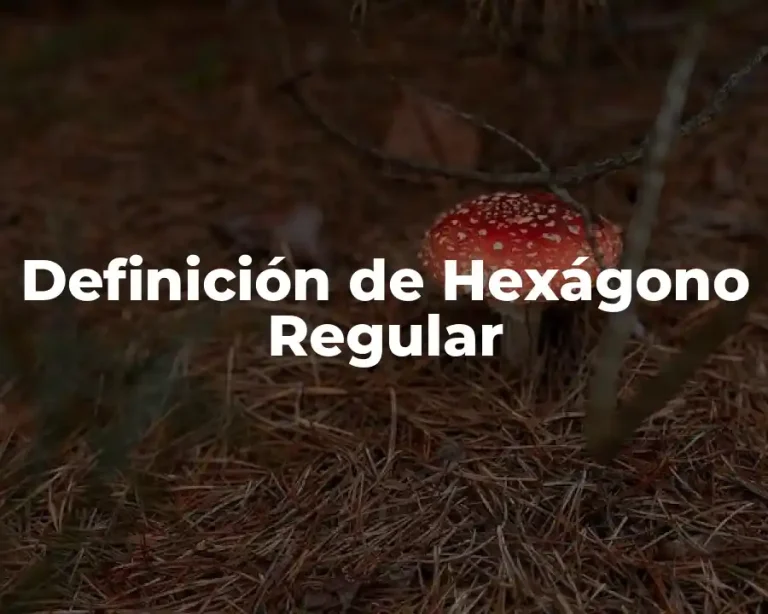 Definición de Hexágono Regular