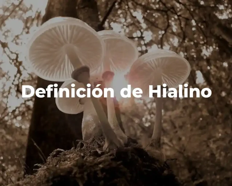 Definición de Hialino