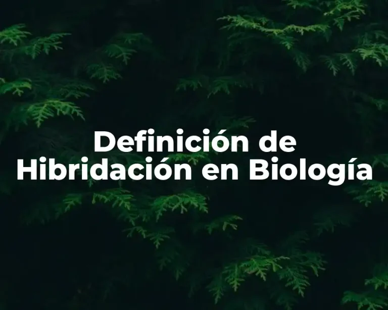 Definición de Hibridación en Biología