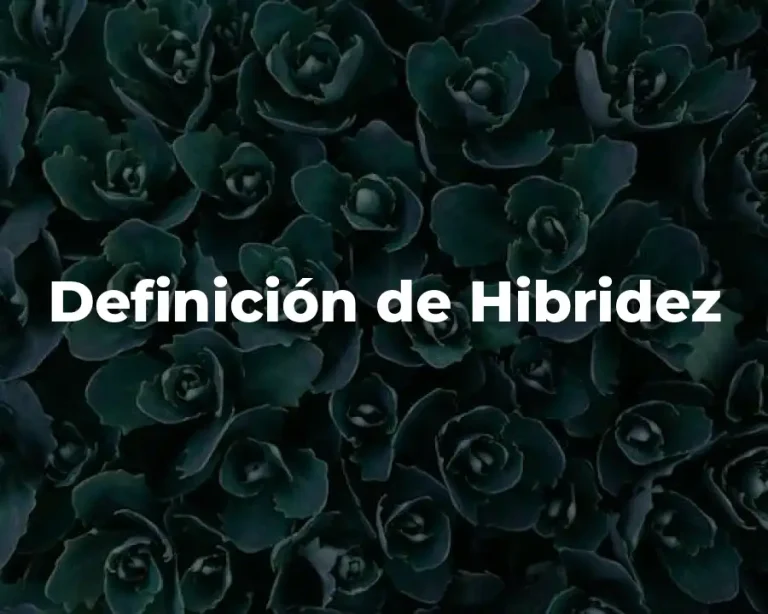 Definición de Hibridez