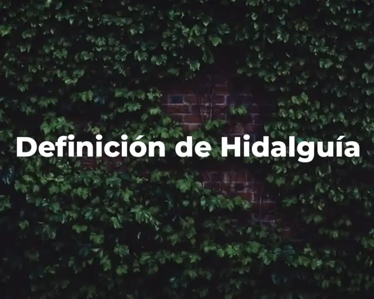 Definición de Hidalguía