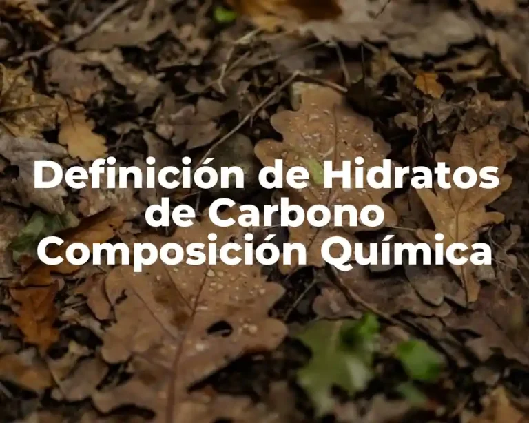 Definición de Hidratos de Carbono Composición Química