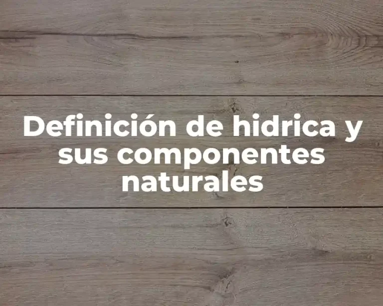 Definición de hidrica y sus componentes naturales