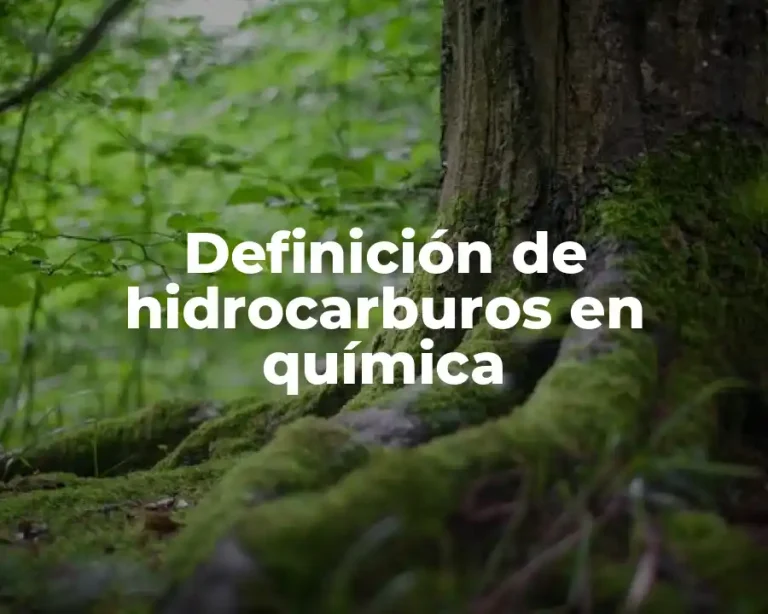 Definición de hidrocarburos en química