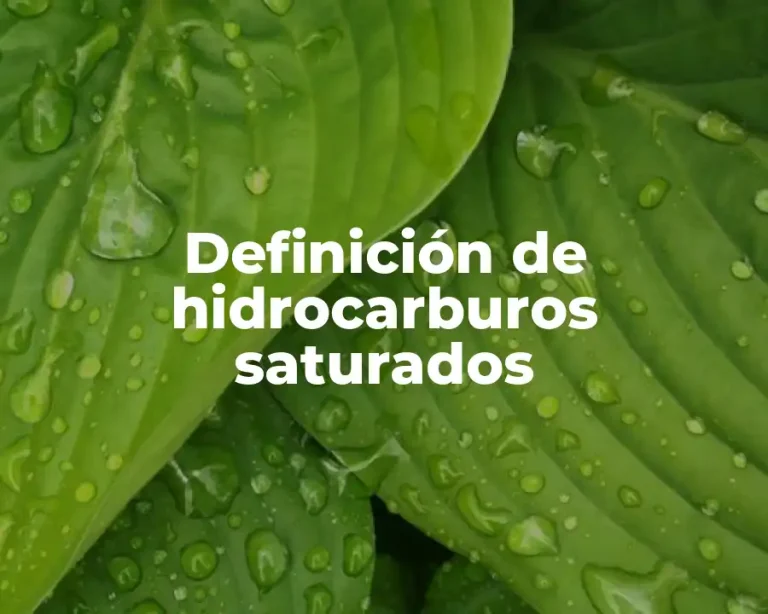 Definición de hidrocarburos saturados