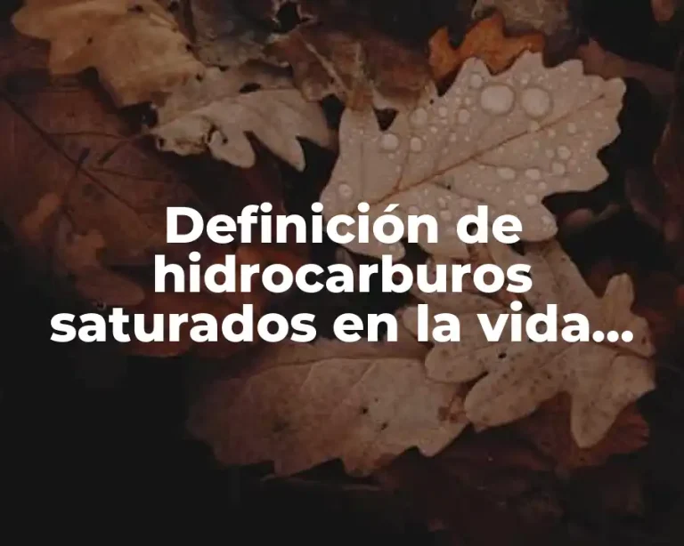 Definición de hidrocarburos saturados en la vida cotidiana