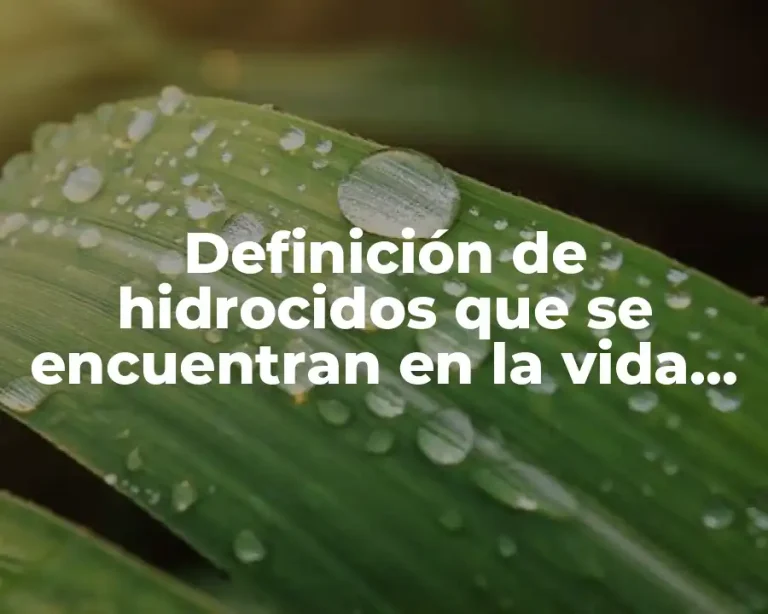 Definición de hidrocidos que se encuentran en la vida cotidiana