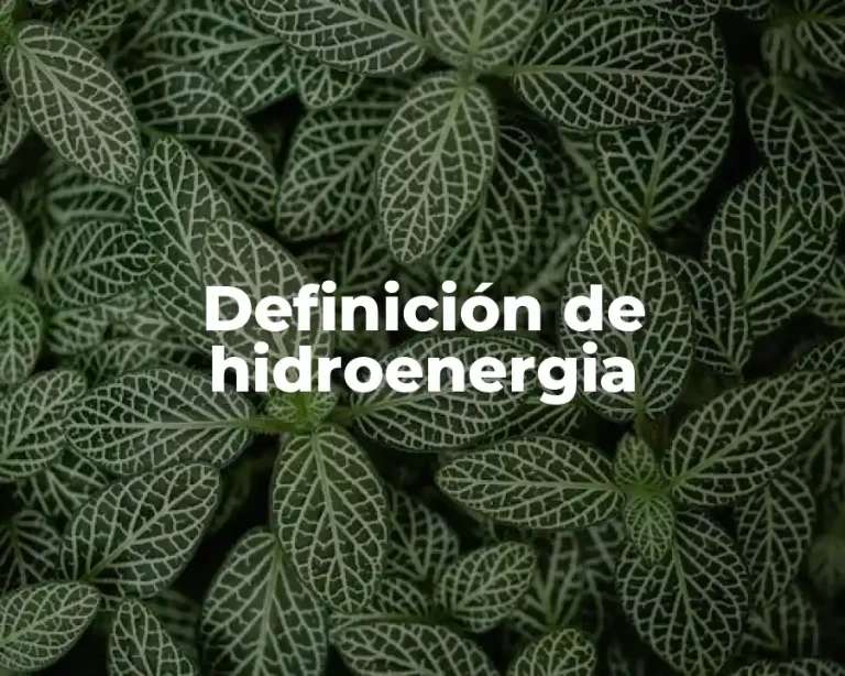 Definición de hidroenergia