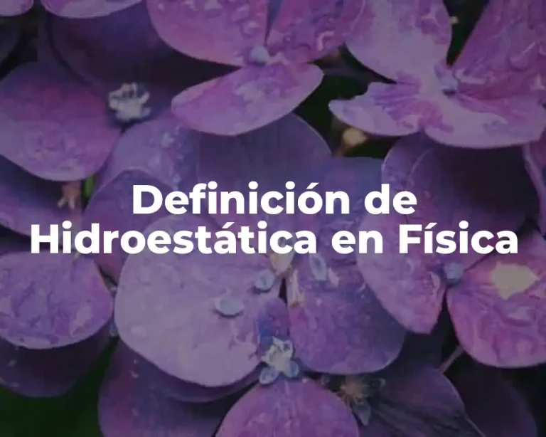 Definición de Hidroestática en Física